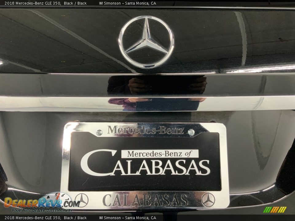 2018 Mercedes-Benz GLE 350 Black / Black Photo #10