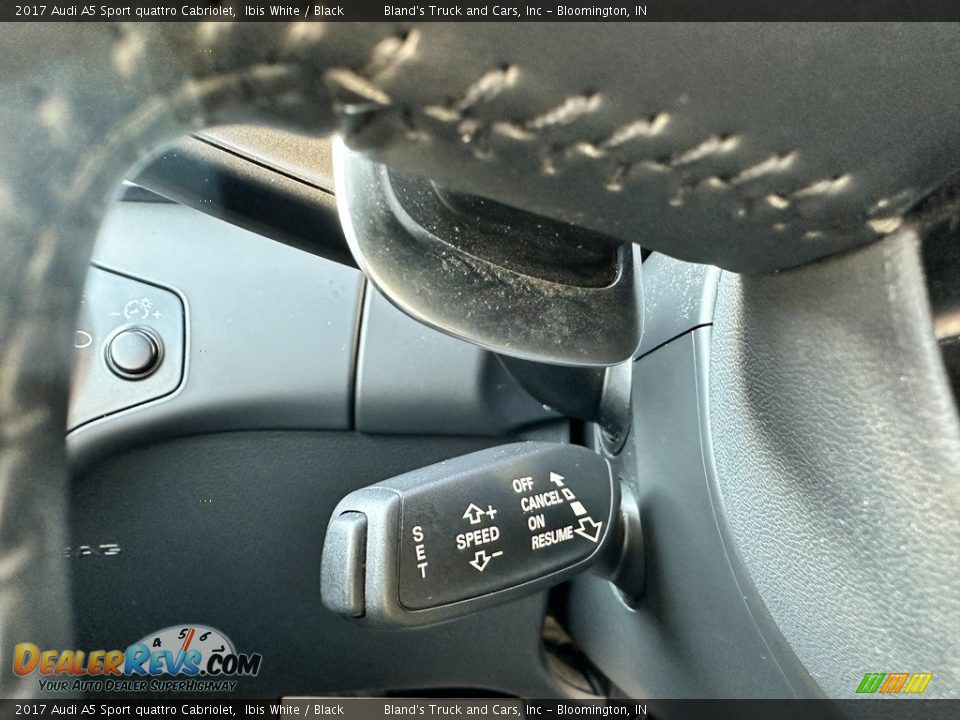 2017 Audi A5 Sport quattro Cabriolet Steering Wheel Photo #21