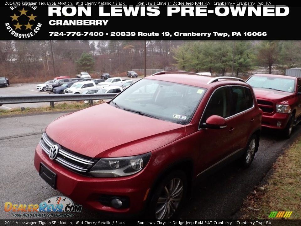 2014 Volkswagen Tiguan SE 4Motion Wild Cherry Metallic / Black Photo #1