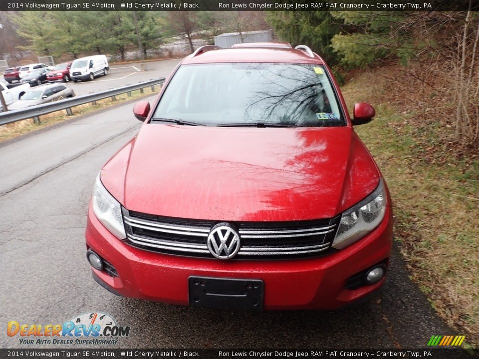 2014 Volkswagen Tiguan SE 4Motion Wild Cherry Metallic / Black Photo #2