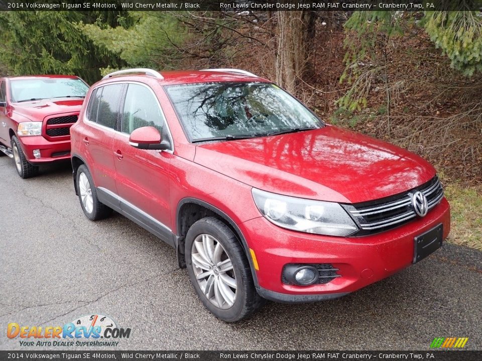 Front 3/4 View of 2014 Volkswagen Tiguan SE 4Motion Photo #3