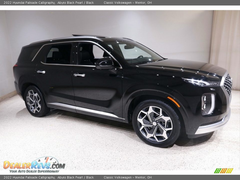 Abyss Black Pearl 2022 Hyundai Palisade Calligraphy Photo #1