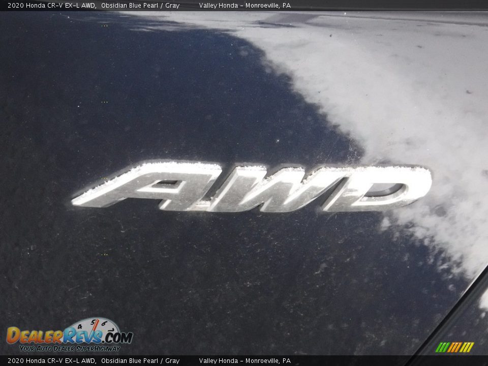 2020 Honda CR-V EX-L AWD Obsidian Blue Pearl / Gray Photo #9