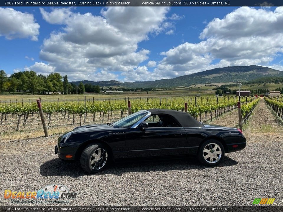 2002 Ford Thunderbird Deluxe Roadster Evening Black / Midnight Black Photo #13