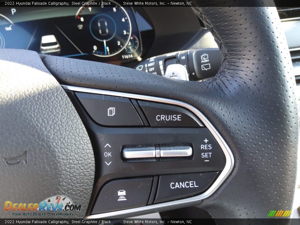 2022 Hyundai Palisade Calligraphy Steering Wheel Photo #21