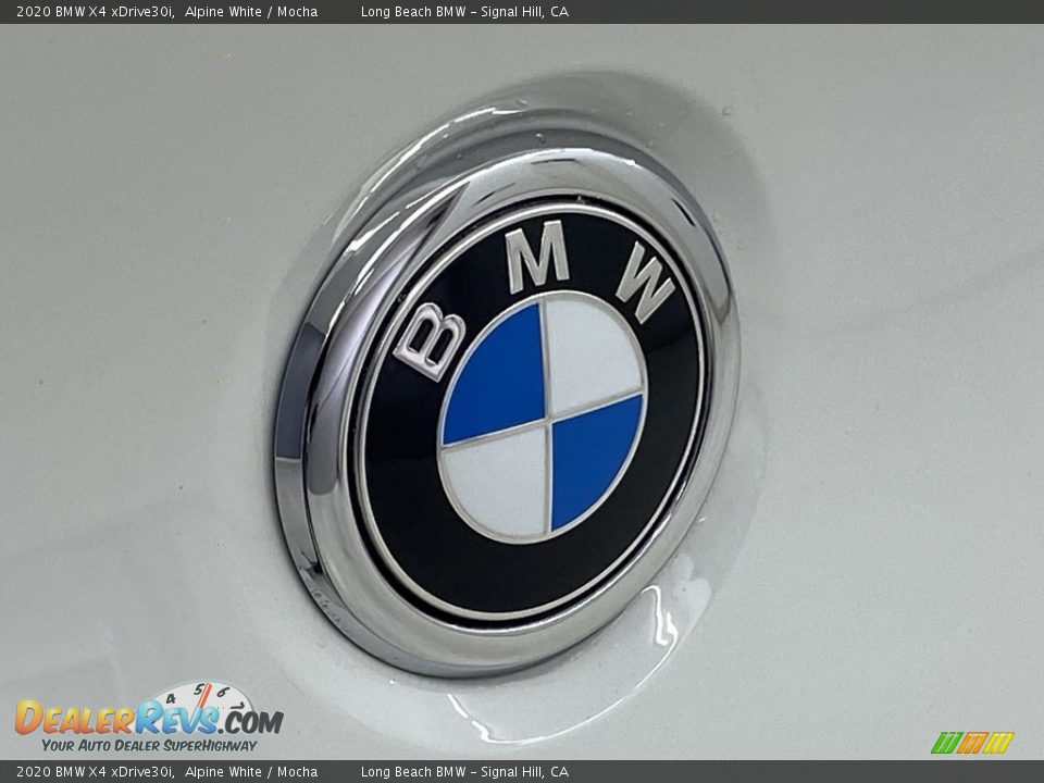 2020 BMW X4 xDrive30i Alpine White / Mocha Photo #9