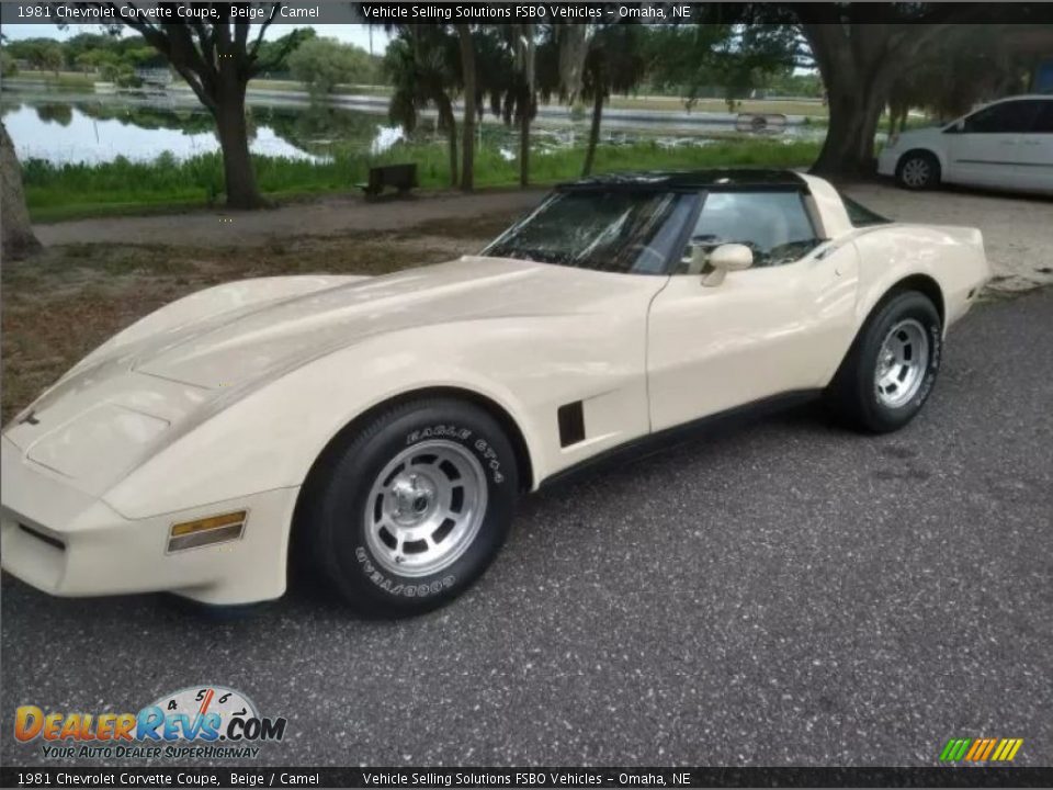 Front 3/4 View of 1981 Chevrolet Corvette Coupe Photo #1