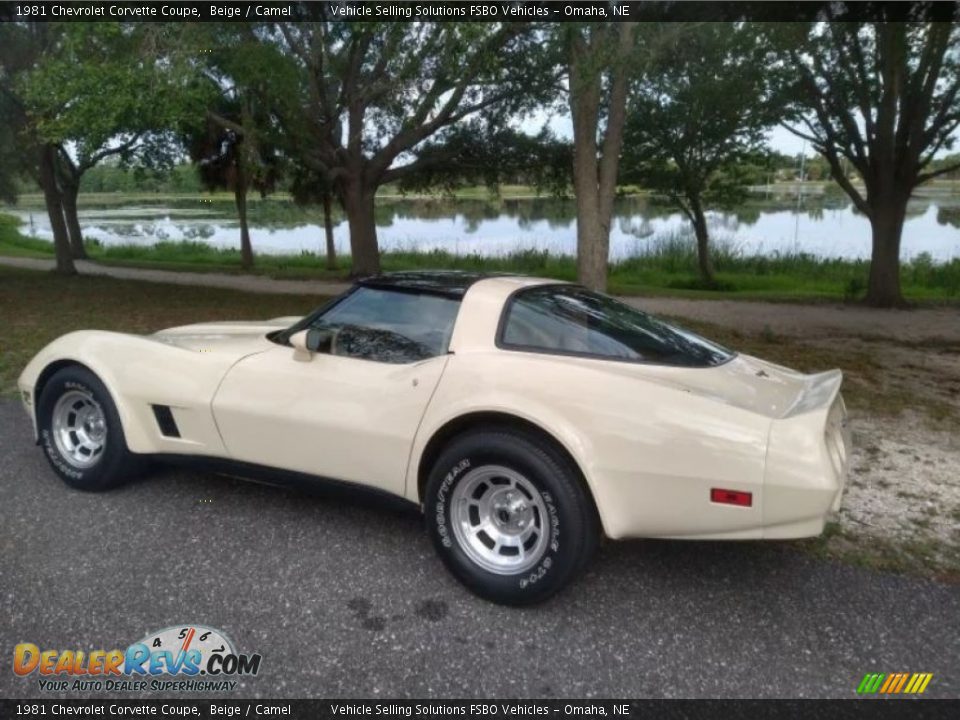 1981 Chevrolet Corvette Coupe Beige / Camel Photo #2