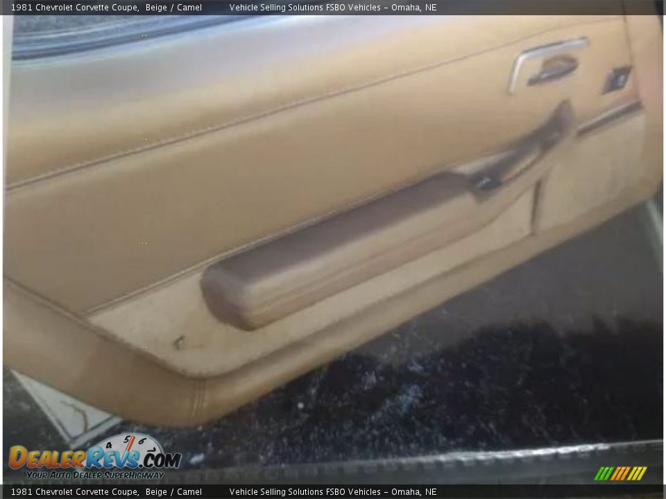 1981 Chevrolet Corvette Coupe Beige / Camel Photo #6