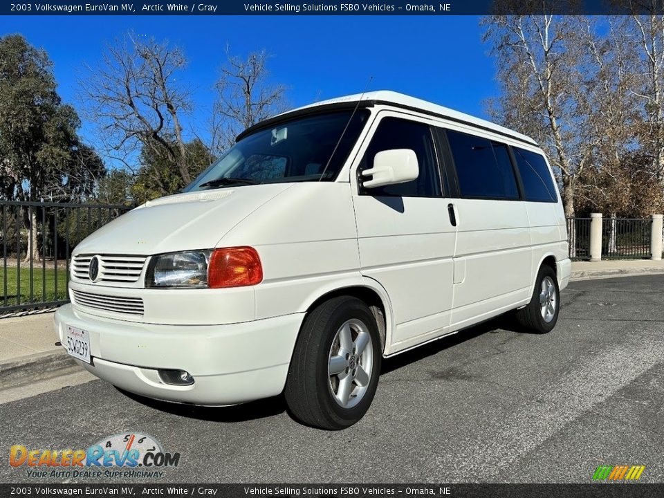 2003 Volkswagen EuroVan MV Arctic White / Gray Photo #1