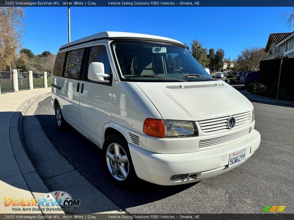 2003 Volkswagen EuroVan MV Arctic White / Gray Photo #2