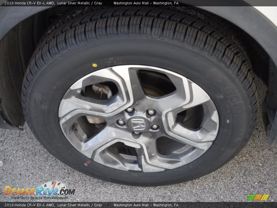2019 Honda CR-V EX-L AWD Lunar Silver Metallic / Gray Photo #6