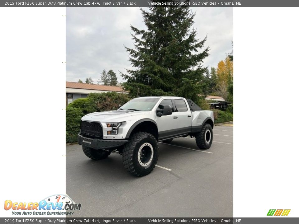 2019 Ford F250 Super Duty Platinum Crew Cab 4x4 Ingot Silver / Black Photo #1