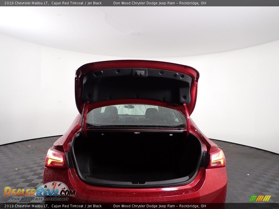 2019 Chevrolet Malibu LT Cajun Red Tintcoat / Jet Black Photo #8
