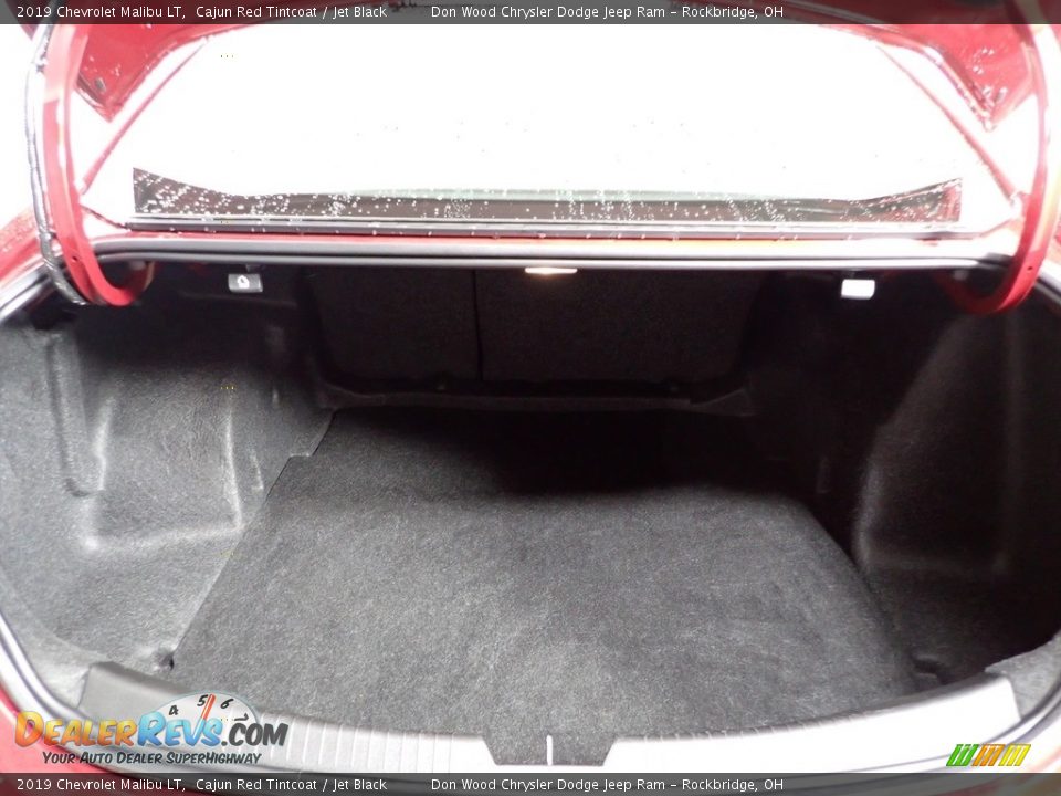 2019 Chevrolet Malibu LT Cajun Red Tintcoat / Jet Black Photo #9