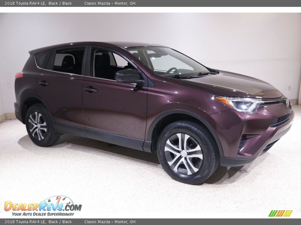 2018 Toyota RAV4 LE Black / Black Photo #1