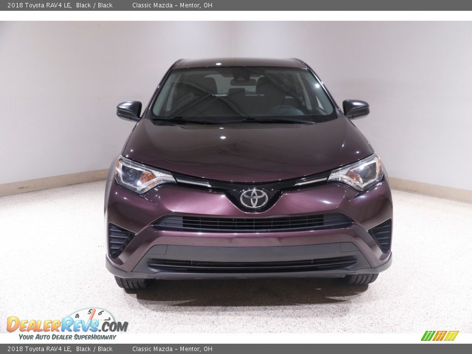 2018 Toyota RAV4 LE Black / Black Photo #2
