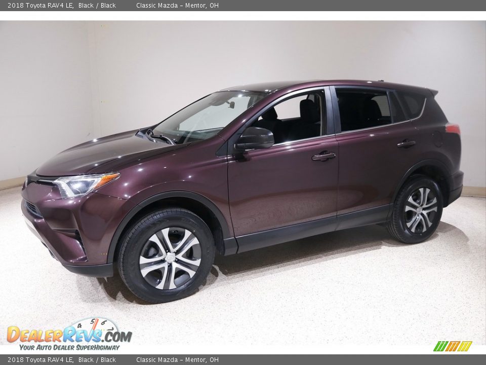 2018 Toyota RAV4 LE Black / Black Photo #3