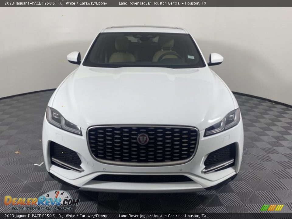 2023 Jaguar F-PACE P250 S Fuji White / Caraway/Ebony Photo #8