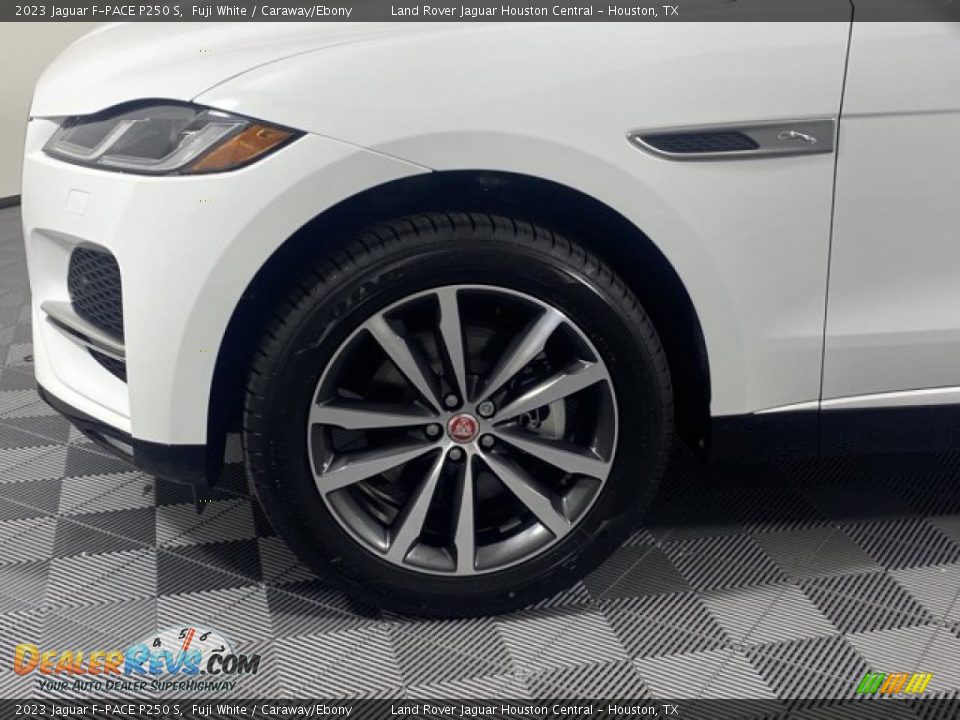 2023 Jaguar F-PACE P250 S Fuji White / Caraway/Ebony Photo #9