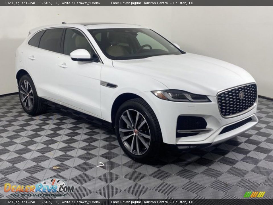 2023 Jaguar F-PACE P250 S Fuji White / Caraway/Ebony Photo #12