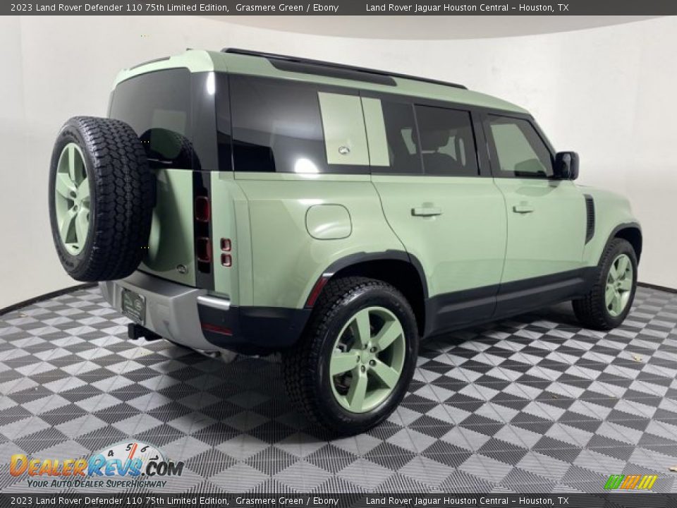 2023 Land Rover Defender 110 75th Limited Edition Grasmere Green / Ebony Photo #2