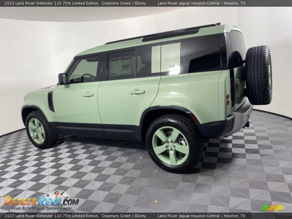 2023 Land Rover Defender 110 75th Limited Edition Grasmere Green / Ebony Photo #6