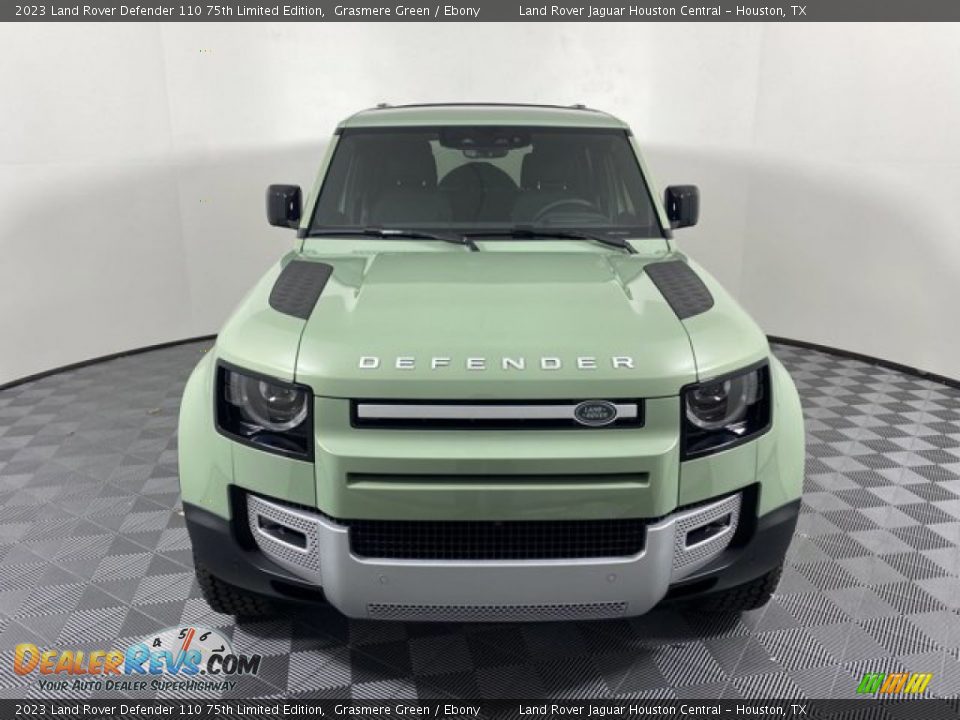 2023 Land Rover Defender 110 75th Limited Edition Grasmere Green / Ebony Photo #8