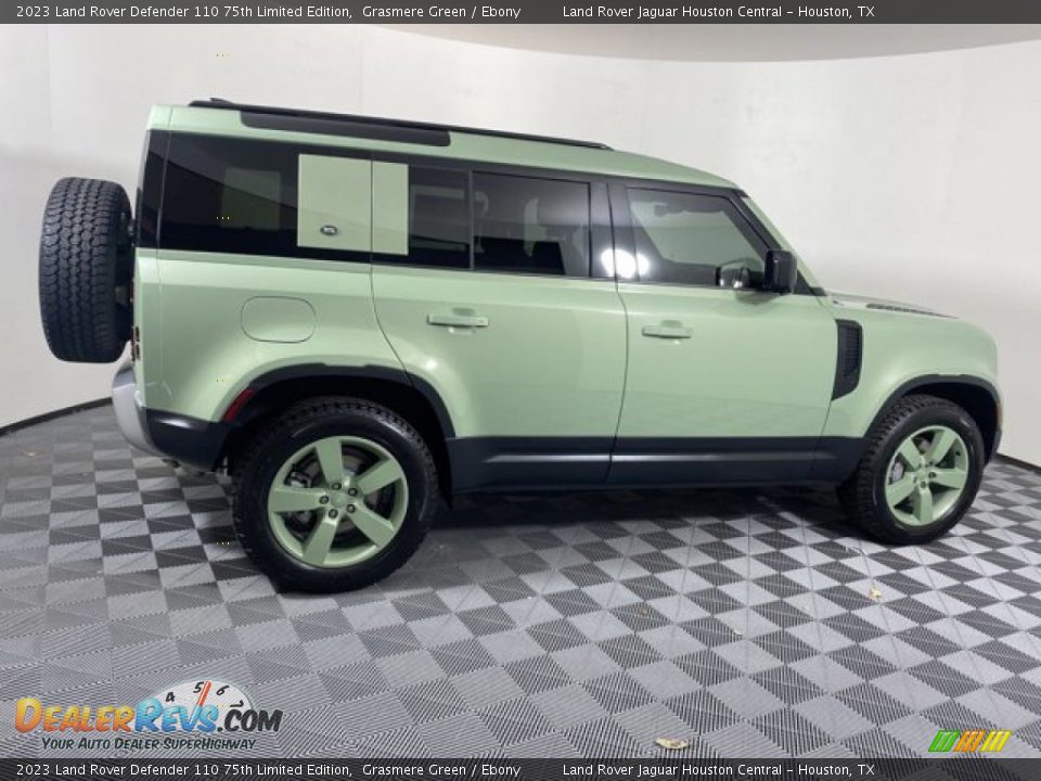 2023 Land Rover Defender 110 75th Limited Edition Grasmere Green / Ebony Photo #11