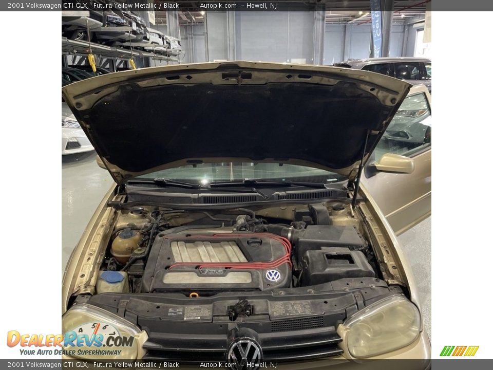 2001 Volkswagen GTI GLX Futura Yellow Metallic / Black Photo #19