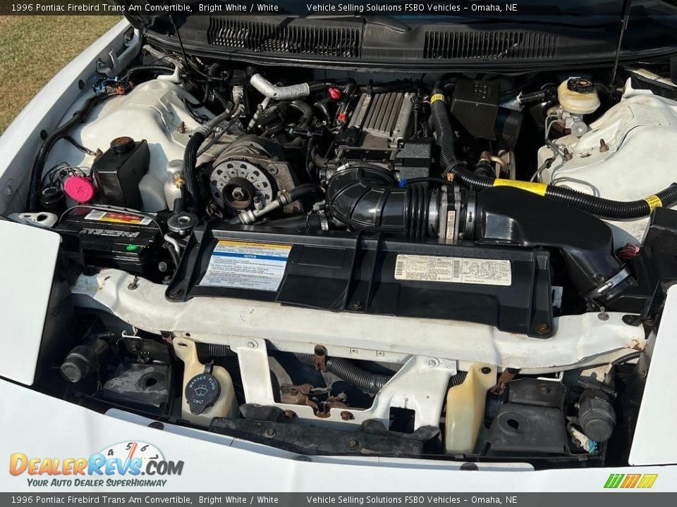 1996 Pontiac Firebird Trans Am Convertible Bright White / White Photo #5