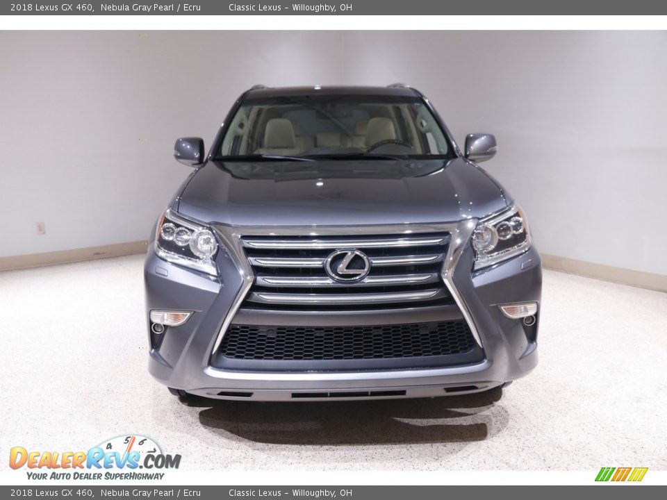 2018 Lexus GX 460 Nebula Gray Pearl / Ecru Photo #2