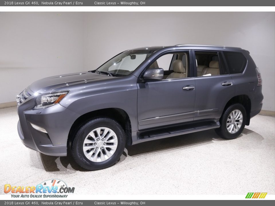 2018 Lexus GX 460 Nebula Gray Pearl / Ecru Photo #3