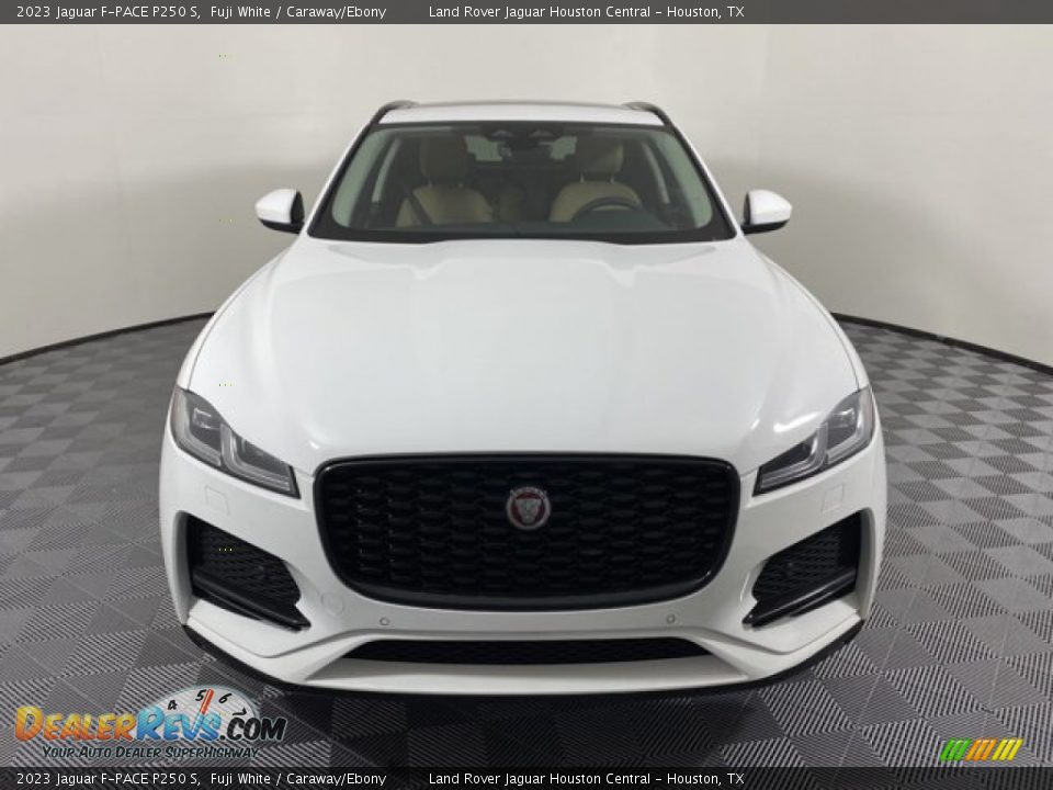 2023 Jaguar F-PACE P250 S Fuji White / Caraway/Ebony Photo #8