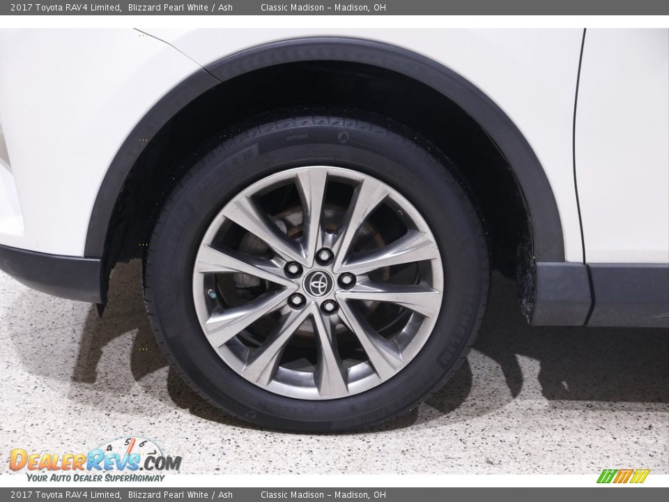 2017 Toyota RAV4 Limited Wheel Photo #21