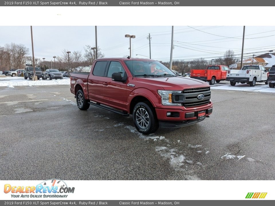 2019 Ford F150 XLT Sport SuperCrew 4x4 Ruby Red / Black Photo #7