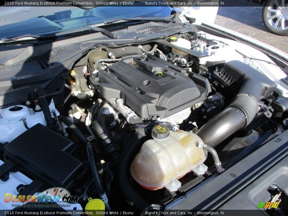 2016 Ford Mustang EcoBoost Premium Convertible Oxford White / Ebony Photo #28