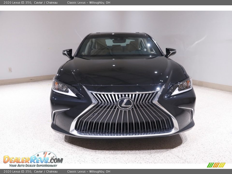 2020 Lexus ES 350 Caviar / Chateau Photo #2