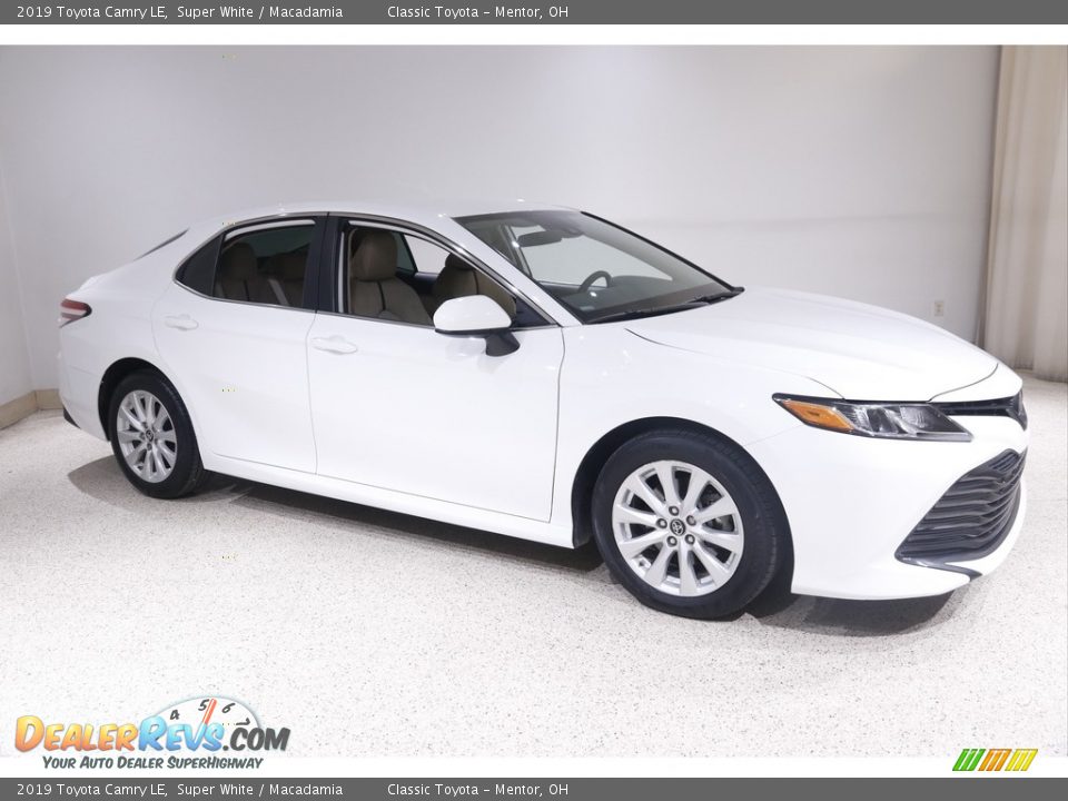 2019 Toyota Camry LE Super White / Macadamia Photo #1