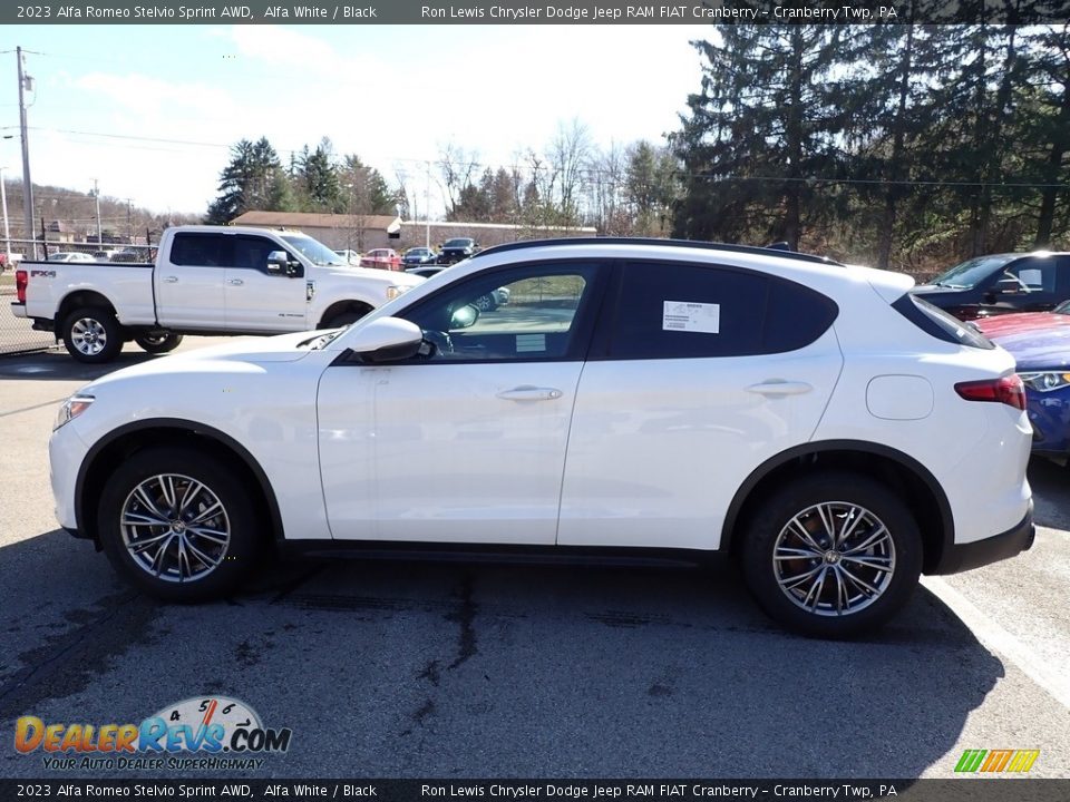 Alfa White 2023 Alfa Romeo Stelvio Sprint AWD Photo #3