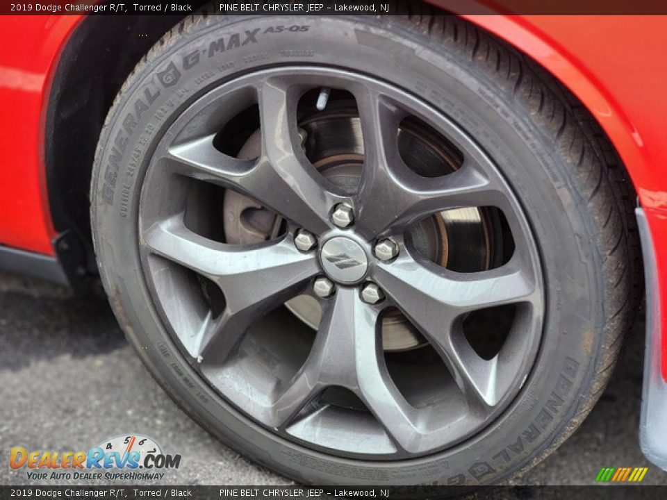 2019 Dodge Challenger R/T Torred / Black Photo #8