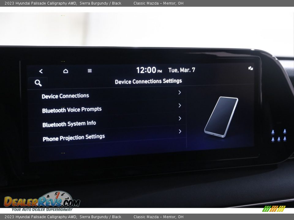 2023 Hyundai Palisade Calligraphy AWD Sierra Burgundy / Black Photo #12