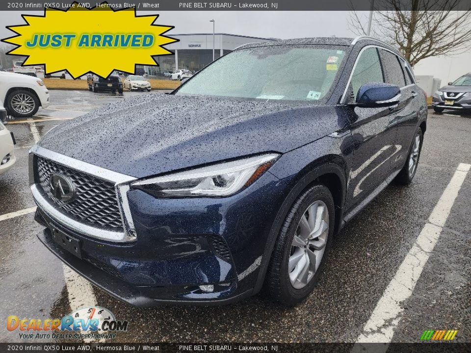 2020 Infiniti QX50 Luxe AWD Hermosa Blue / Wheat Photo #1