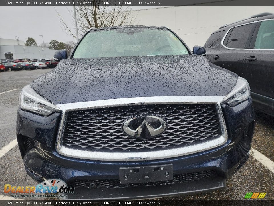 2020 Infiniti QX50 Luxe AWD Hermosa Blue / Wheat Photo #2