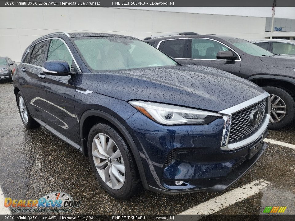 2020 Infiniti QX50 Luxe AWD Hermosa Blue / Wheat Photo #3