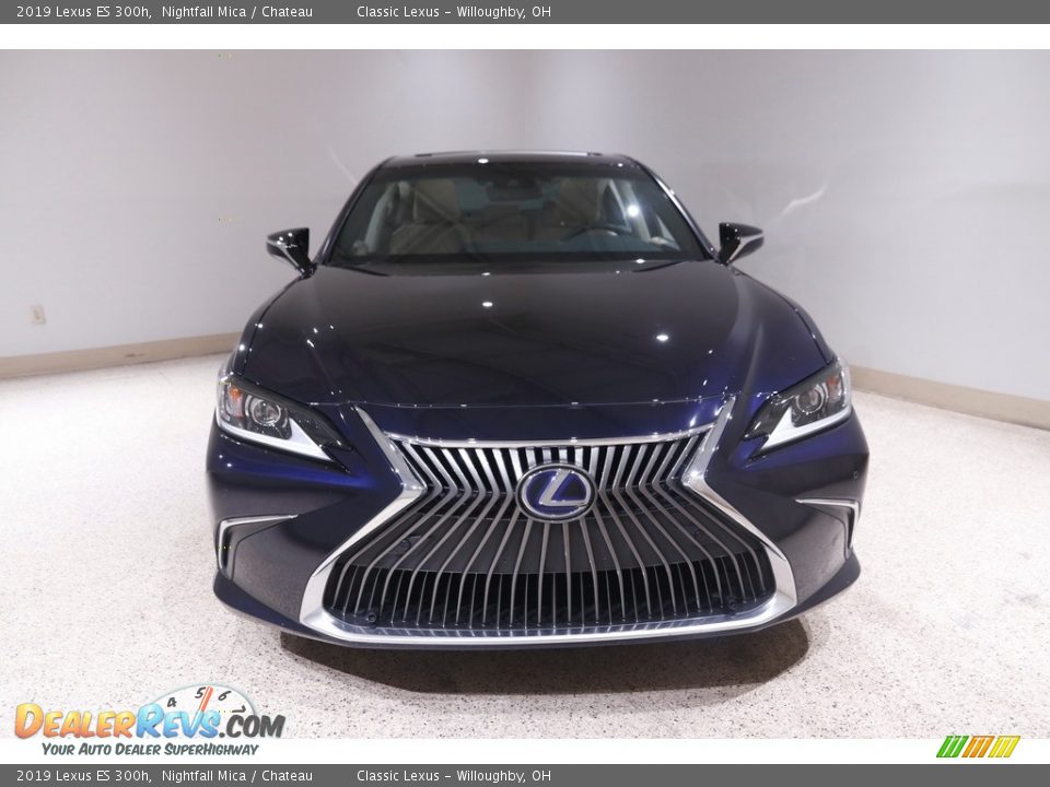 2019 Lexus ES 300h Nightfall Mica / Chateau Photo #2