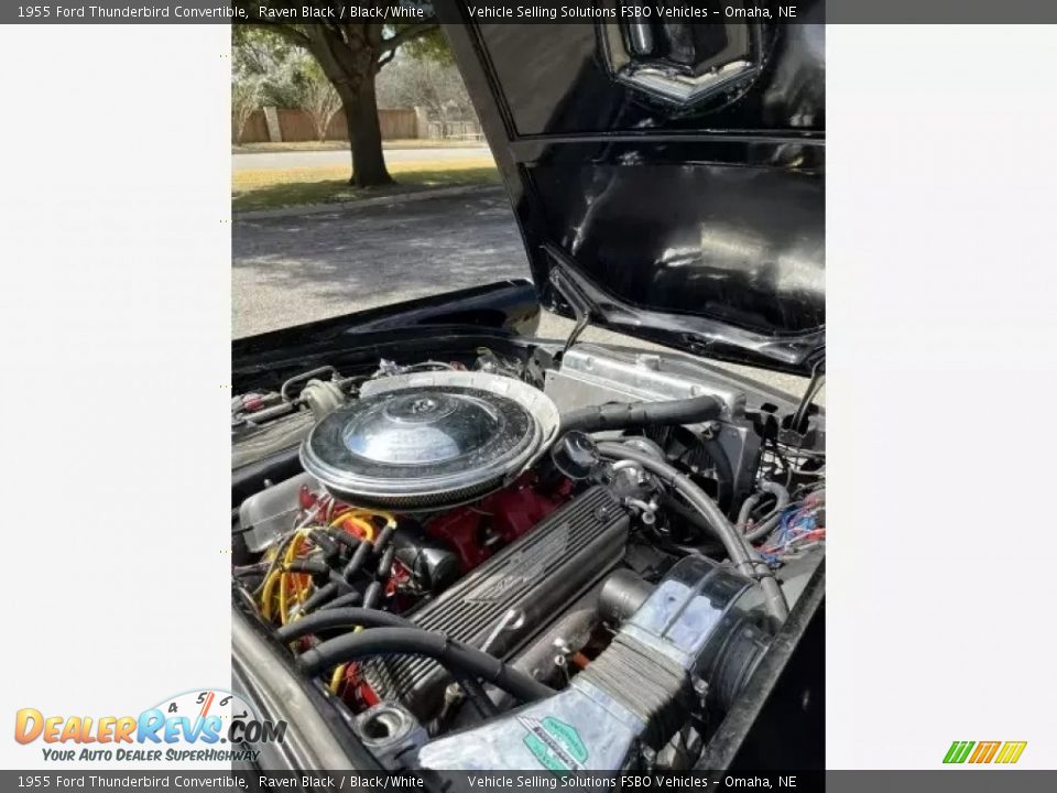 1955 Ford Thunderbird Convertible Raven Black / Black/White Photo #2