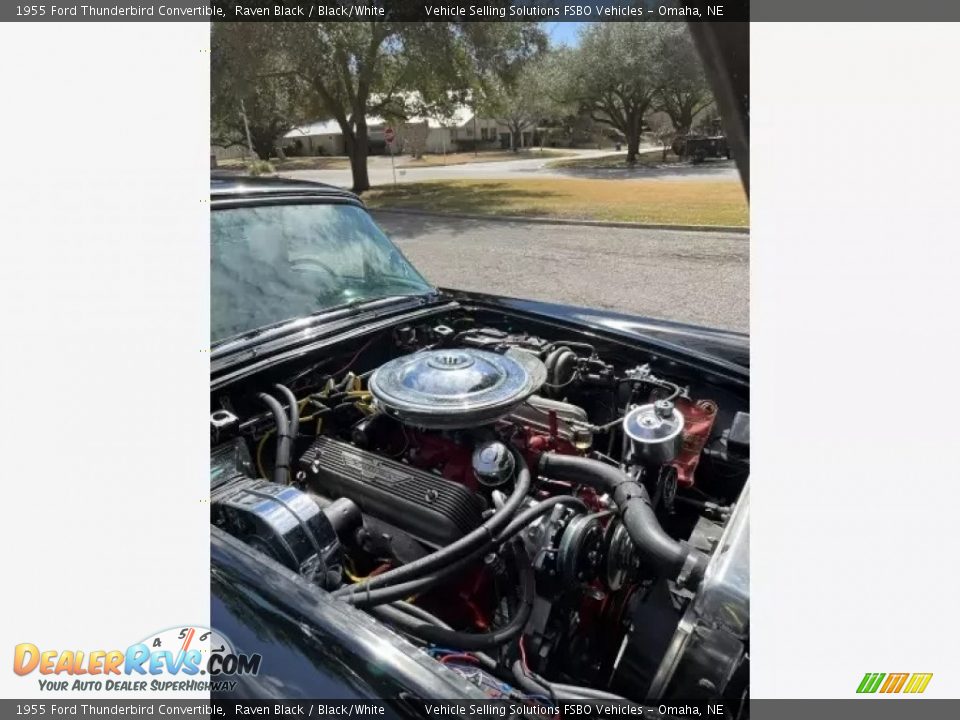 1955 Ford Thunderbird Convertible Raven Black / Black/White Photo #3