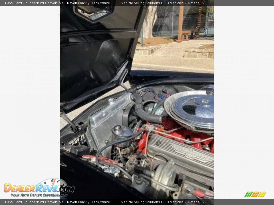 1955 Ford Thunderbird Convertible Raven Black / Black/White Photo #4