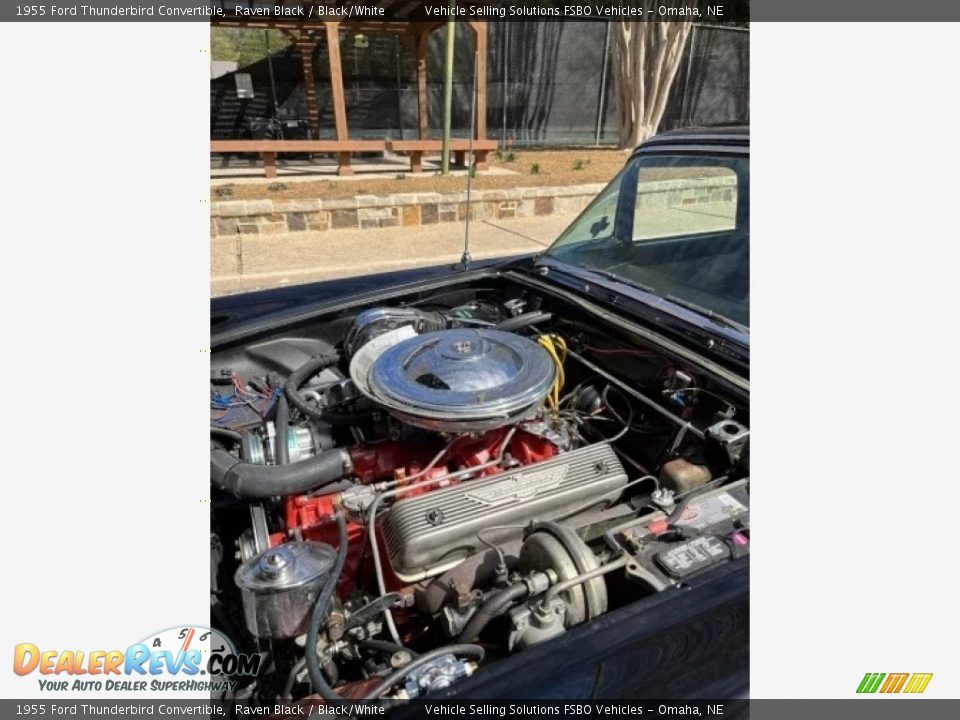 1955 Ford Thunderbird Convertible Raven Black / Black/White Photo #5